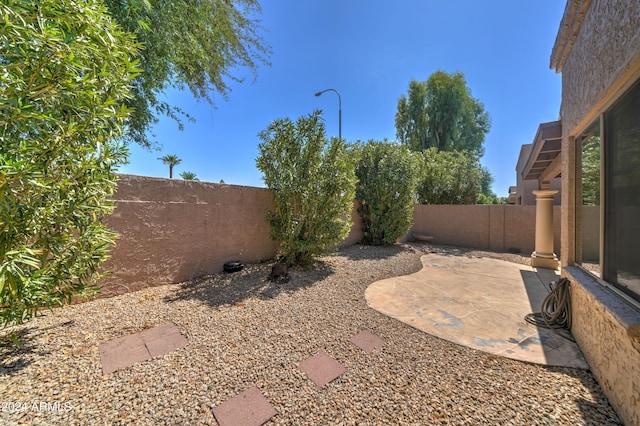 view of yard featuring a patio area