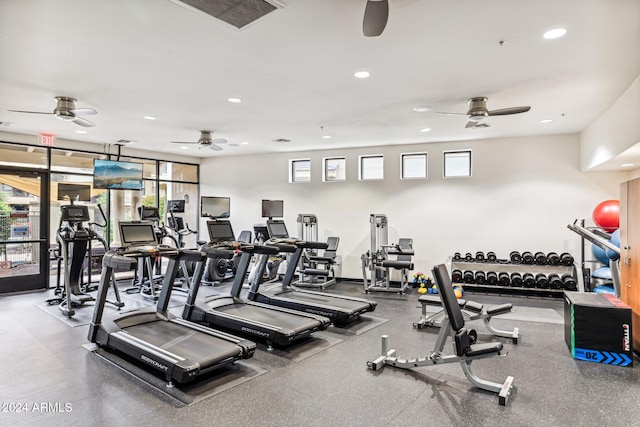 workout area featuring plenty of natural light