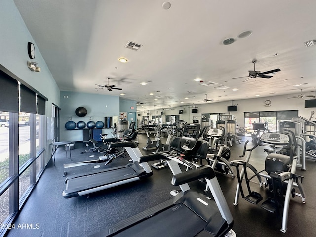 workout area with ceiling fan and plenty of natural light