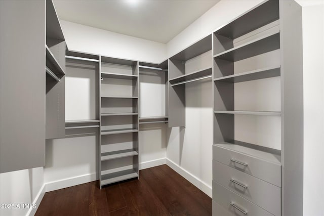 walk in closet with dark wood finished floors