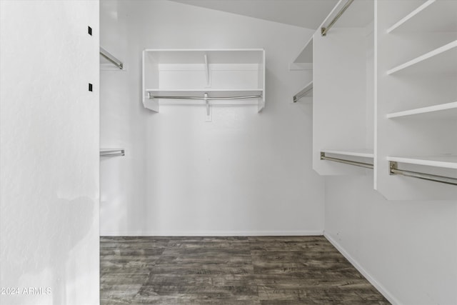 spacious closet featuring lofted ceiling and dark wood-type flooring