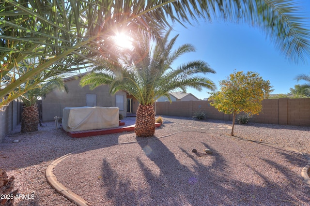 view of yard featuring a patio area