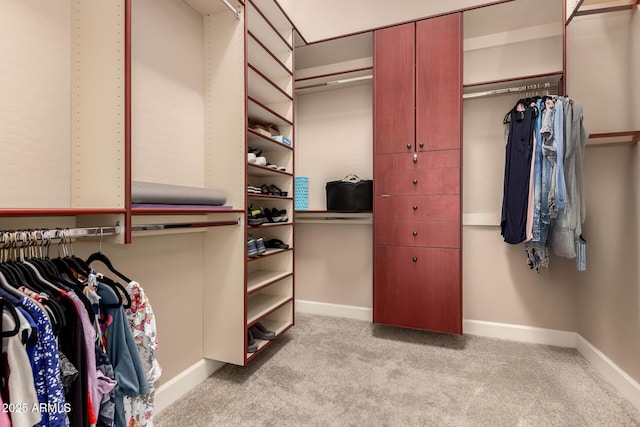 5226 S Fairchild Ln, Chandler, AZ 85249 - spacious closet featuring carpet flooring