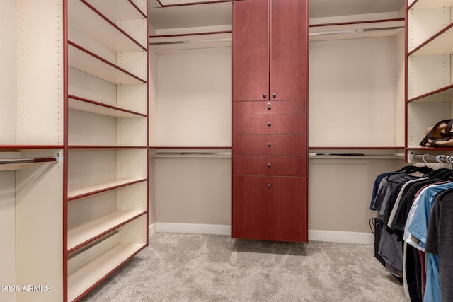 5226 S Fairchild Ln, Chandler, AZ 85249 - spacious closet with carpet