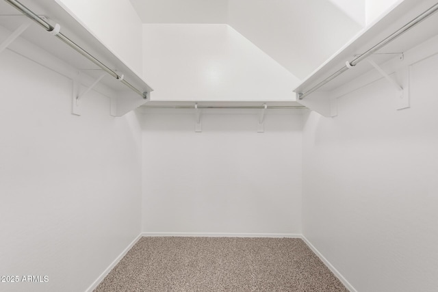 walk in closet featuring carpet