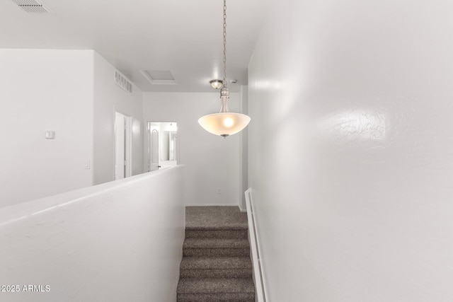 stairway featuring carpet, visible vents, and attic access