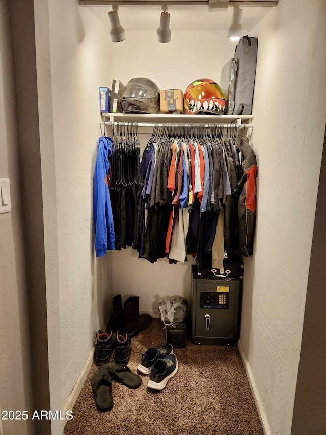 spacious closet with carpet flooring