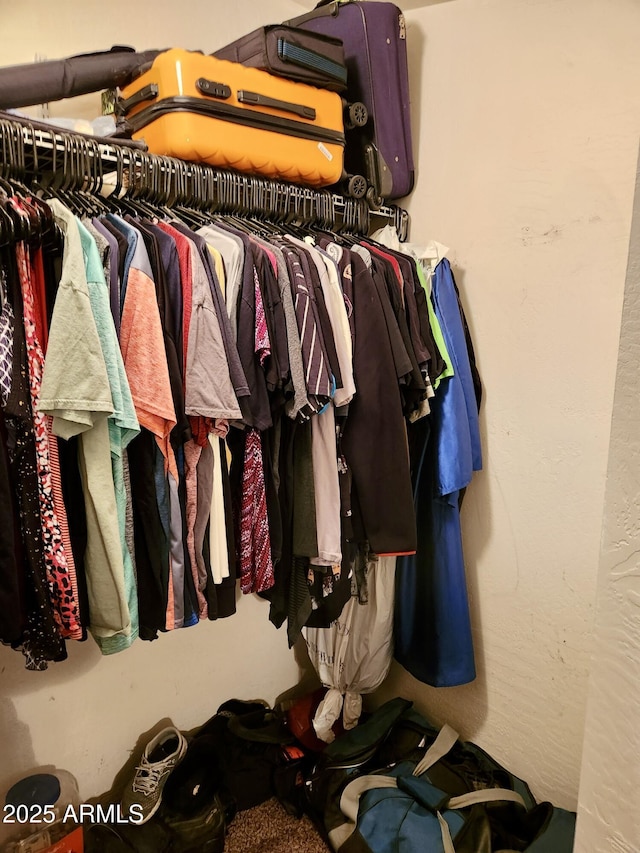 view of spacious closet