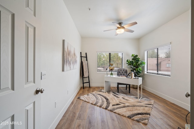 office with ceiling fan and light hardwood / wood-style flooring