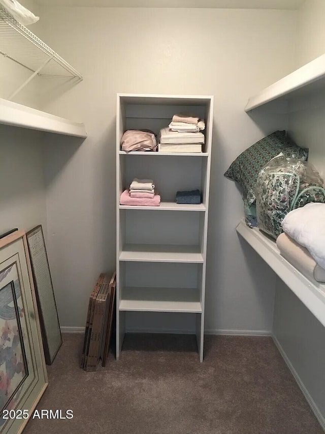 spacious closet featuring carpet floors