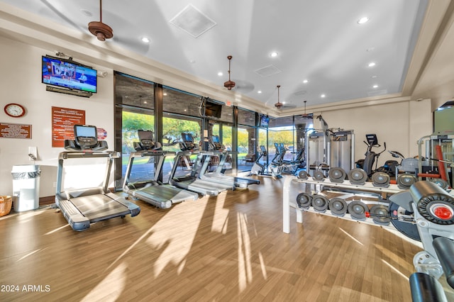 gym with hardwood / wood-style flooring, ceiling fan, and a tray ceiling