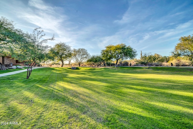 surrounding community featuring a yard