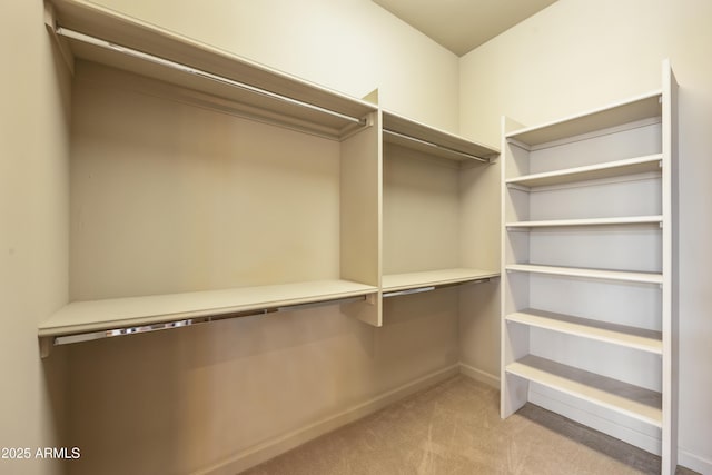 spacious closet with light colored carpet