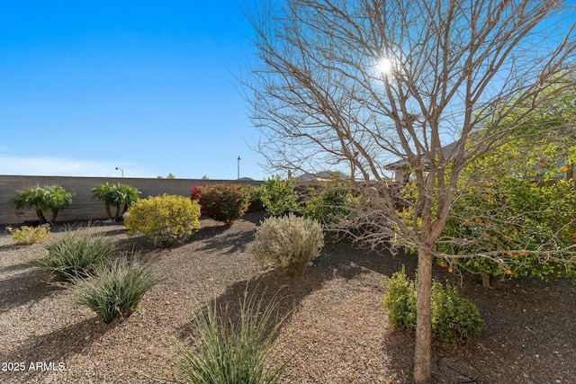 20701 W Minnezona Ave, Buckeye, AZ 85396 - view of local wilderness