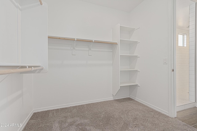 spacious closet with light colored carpet