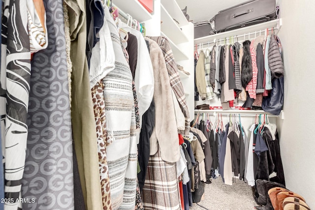spacious closet featuring carpet flooring