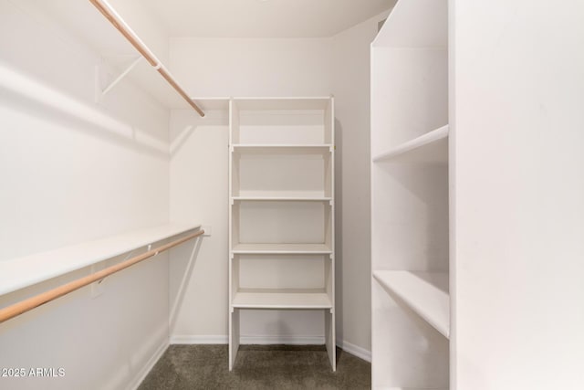 spacious closet featuring carpet floors