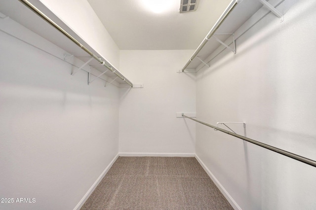 1106 N Villa Nueva Dr, Litchfield Park, AZ 85340 - spacious closet featuring carpet flooring