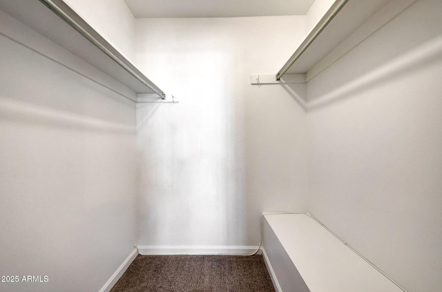 1106 N Villa Nueva Dr, Litchfield Park, AZ 85340 - walk in closet with dark carpet