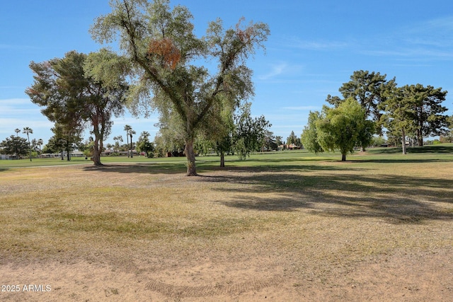 1106 N Villa Nueva Dr, Litchfield Park, AZ 85340 - view of home's community with a yard