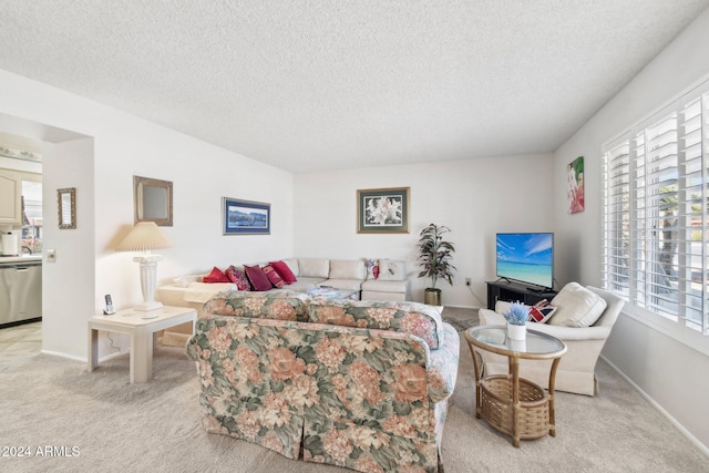 carpeted living room with a textured ceiling