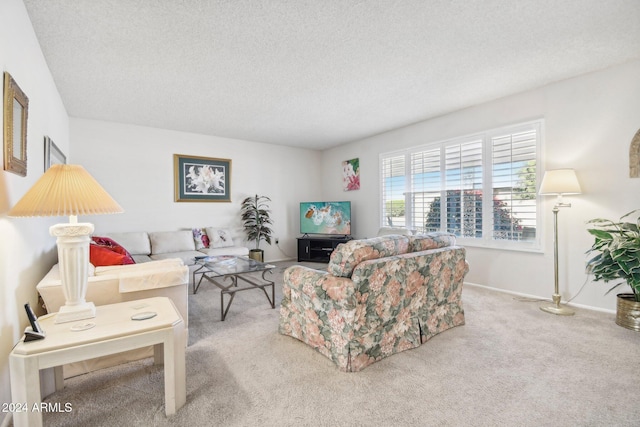 living room featuring a textured ceiling and light carpet