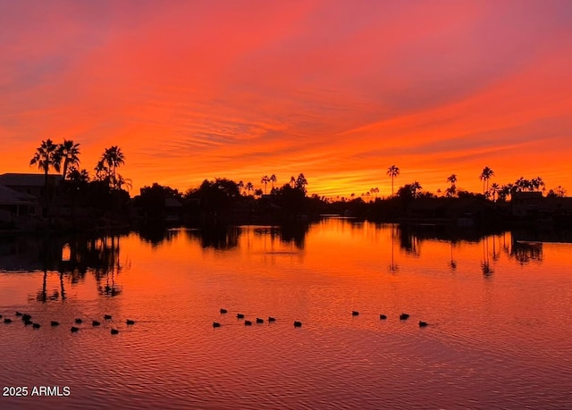 1241 W Lobster Trap Dr, Gilbert, AZ 85233 - water view