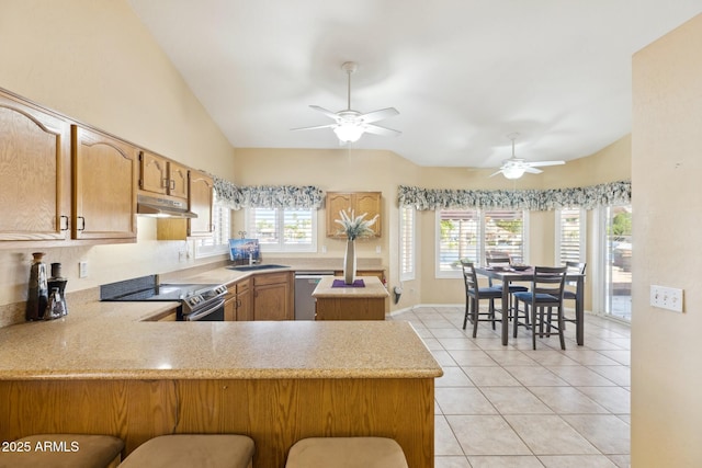 1241 W Lobster Trap Dr, Gilbert, AZ 85233 - kitchen with appliances with stainless steel finishes, lofted ceiling, a peninsula, under cabinet range hood, and ceiling fan