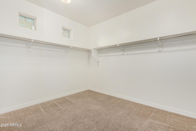 18108 W Cassia Way, Goodyear, AZ 85338 - walk in closet with carpet