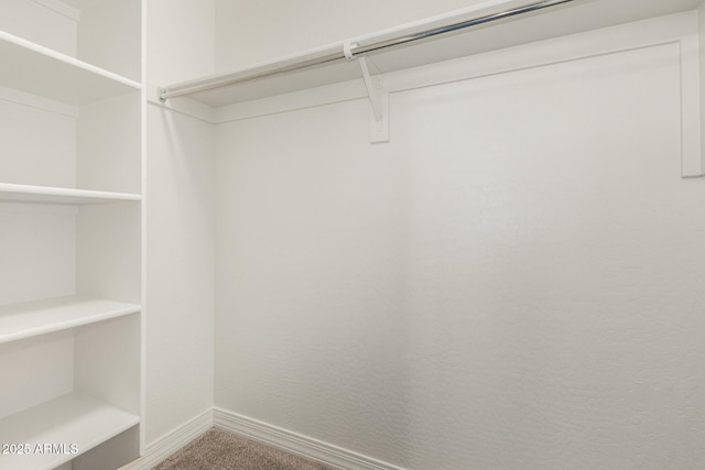 18108 W Cassia Way, Goodyear, AZ 85338 - spacious closet with carpet floors