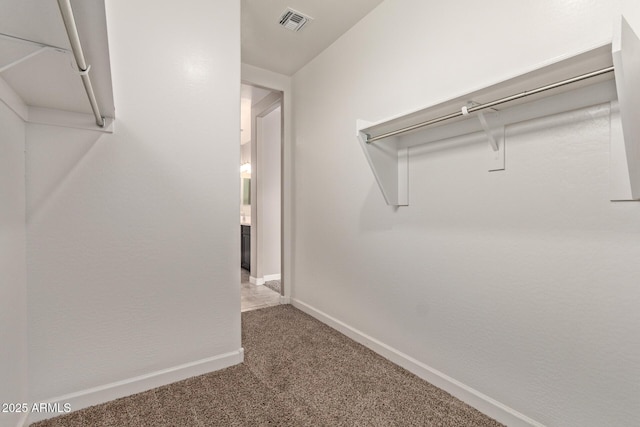 walk in closet featuring carpet