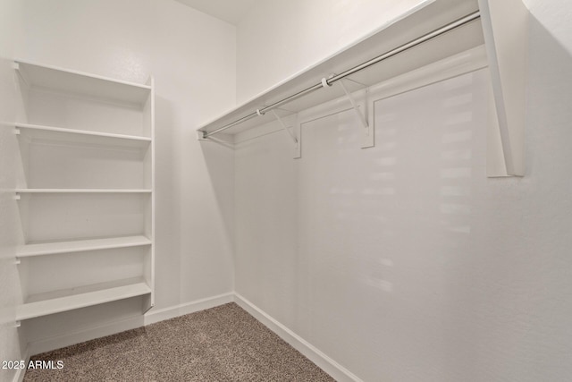 spacious closet with carpet floors