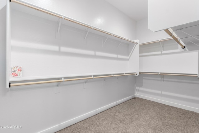 walk in closet featuring carpet