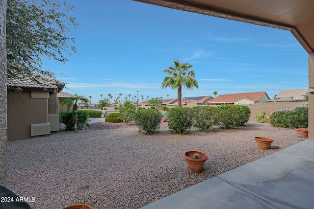 view of yard featuring a patio area