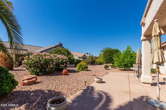 view of yard featuring a patio