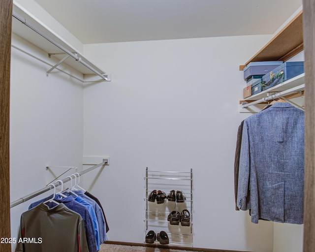 view of spacious closet