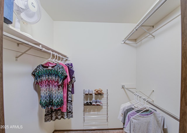 view of walk in closet