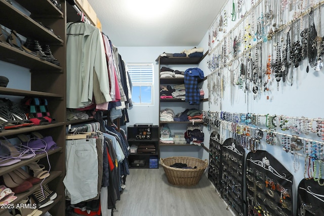 walk in closet featuring wood-type flooring