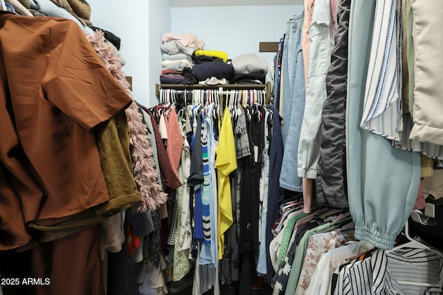 view of walk in closet