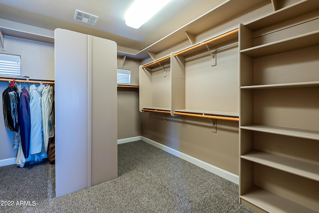 4120 E Woodside Way, Gilbert, AZ 85297 - walk in closet with carpet