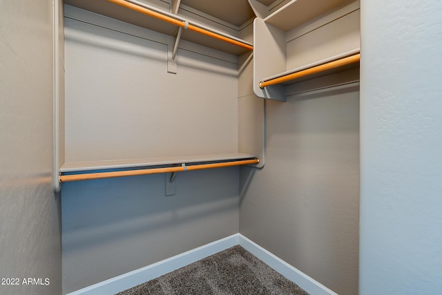 4120 E Woodside Way, Gilbert, AZ 85297 - walk in closet with carpet flooring