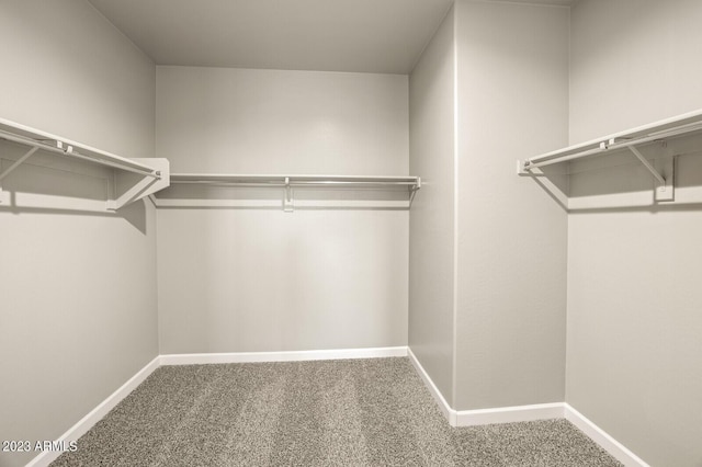 1471 S 239th Dr, Buckeye, AZ 85326 - walk in closet featuring carpet flooring