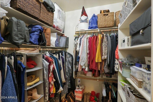 view of spacious closet