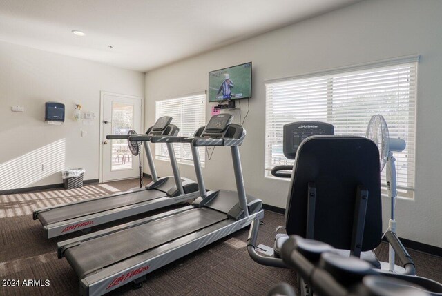 workout area featuring carpet floors and a healthy amount of sunlight