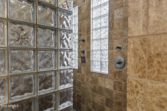 bathroom featuring a walk in shower
