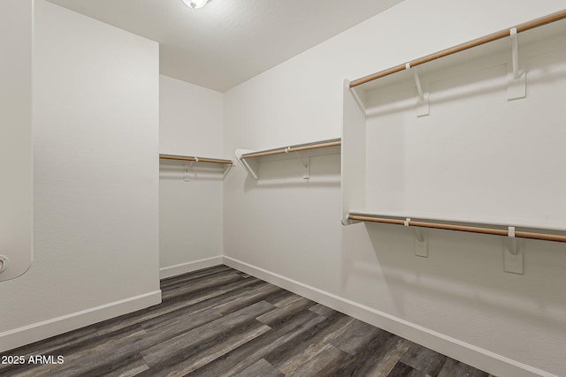 4067 S White Dr, Chandler, AZ 85249 - spacious closet with dark wood-type flooring