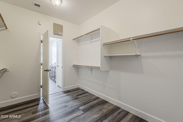4067 S White Dr, Chandler, AZ 85249 - spacious closet with dark wood-style floors