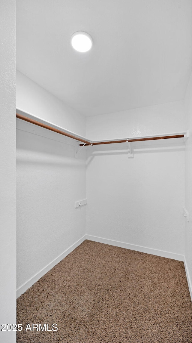 walk in closet featuring carpet floors