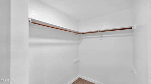 spacious closet with carpet