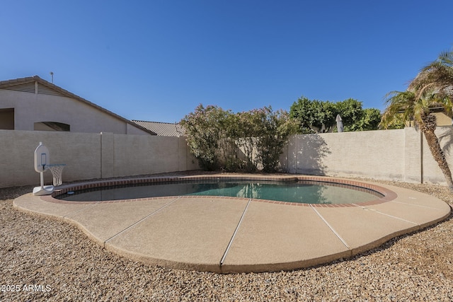 view of swimming pool featuring a patio, a fenced backyard, and a fenced in pool